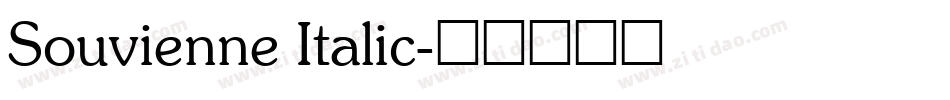 Souvienne Italic字体转换